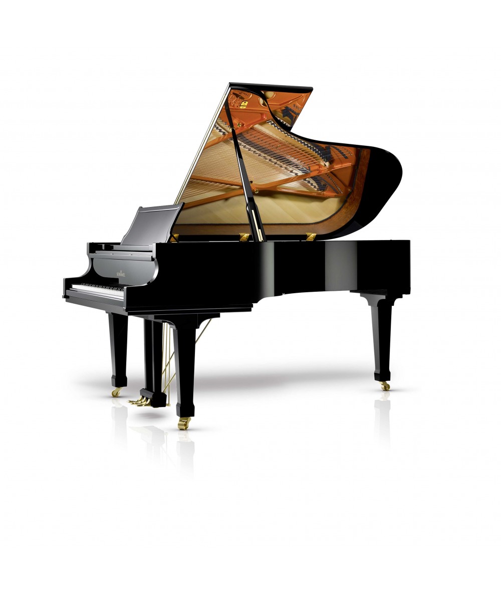 SCHIMMEL C 213 Classic | PIANOS QUEUE NEUFS | PREVALET MUSIQUE DIJON
